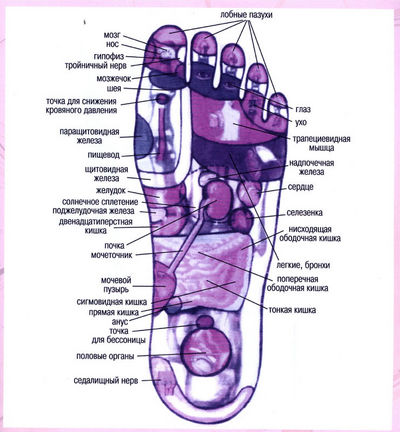 Польза от массажера для ног